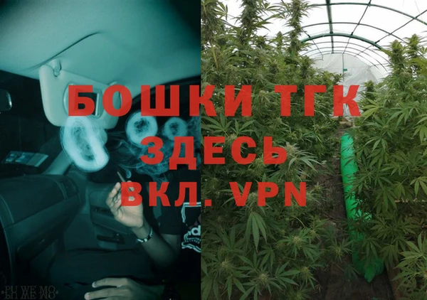 крисы Абаза