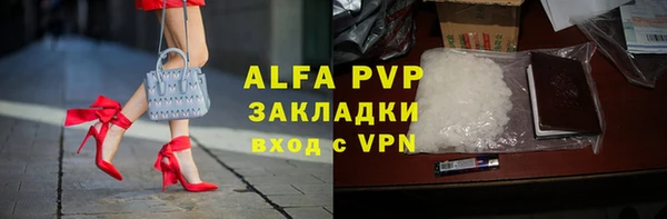 крисы Абаза