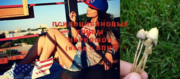 молекула духа Абинск