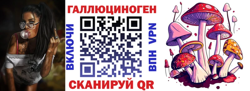 закладка  Иноземцево  omg вход  Галлюциногенные грибы Cubensis 